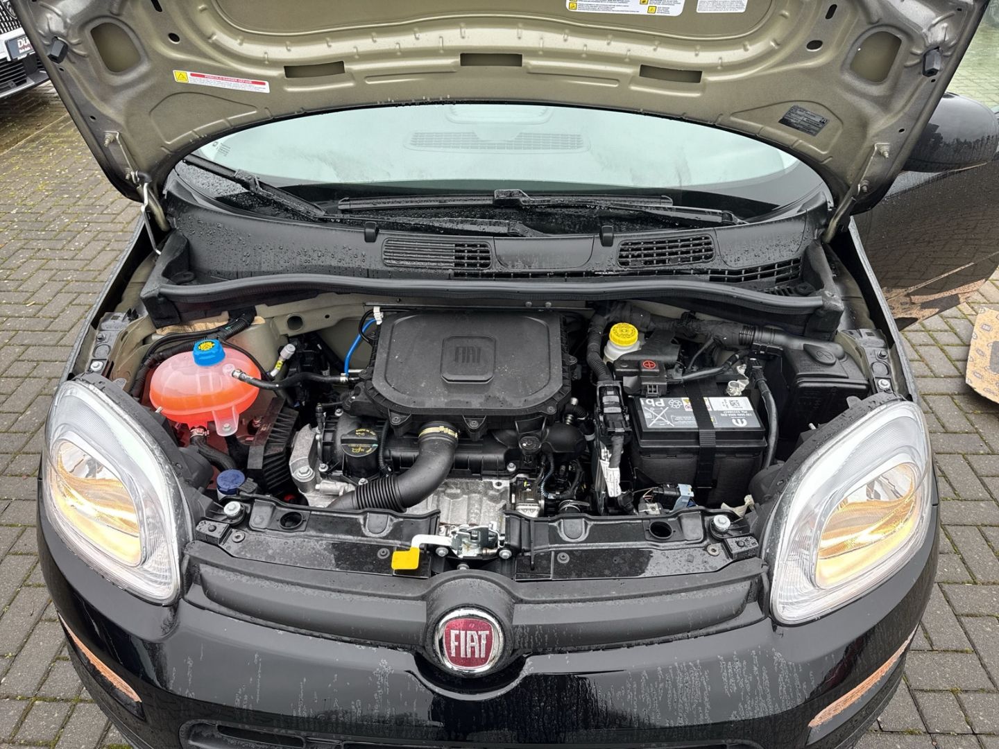 Fiat Panda - Bild 14