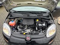 Fiat Panda - Vorschau Bild 14