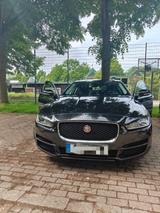 Jaguar XE 20t 200PS Portfolio Automatik Portfolio - Jaguar XE in Essen