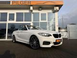 BMW M235i Cabrio M Sport*Alcantara*H/K*Xenon*Shz*Pdc - BMW M235: M235i