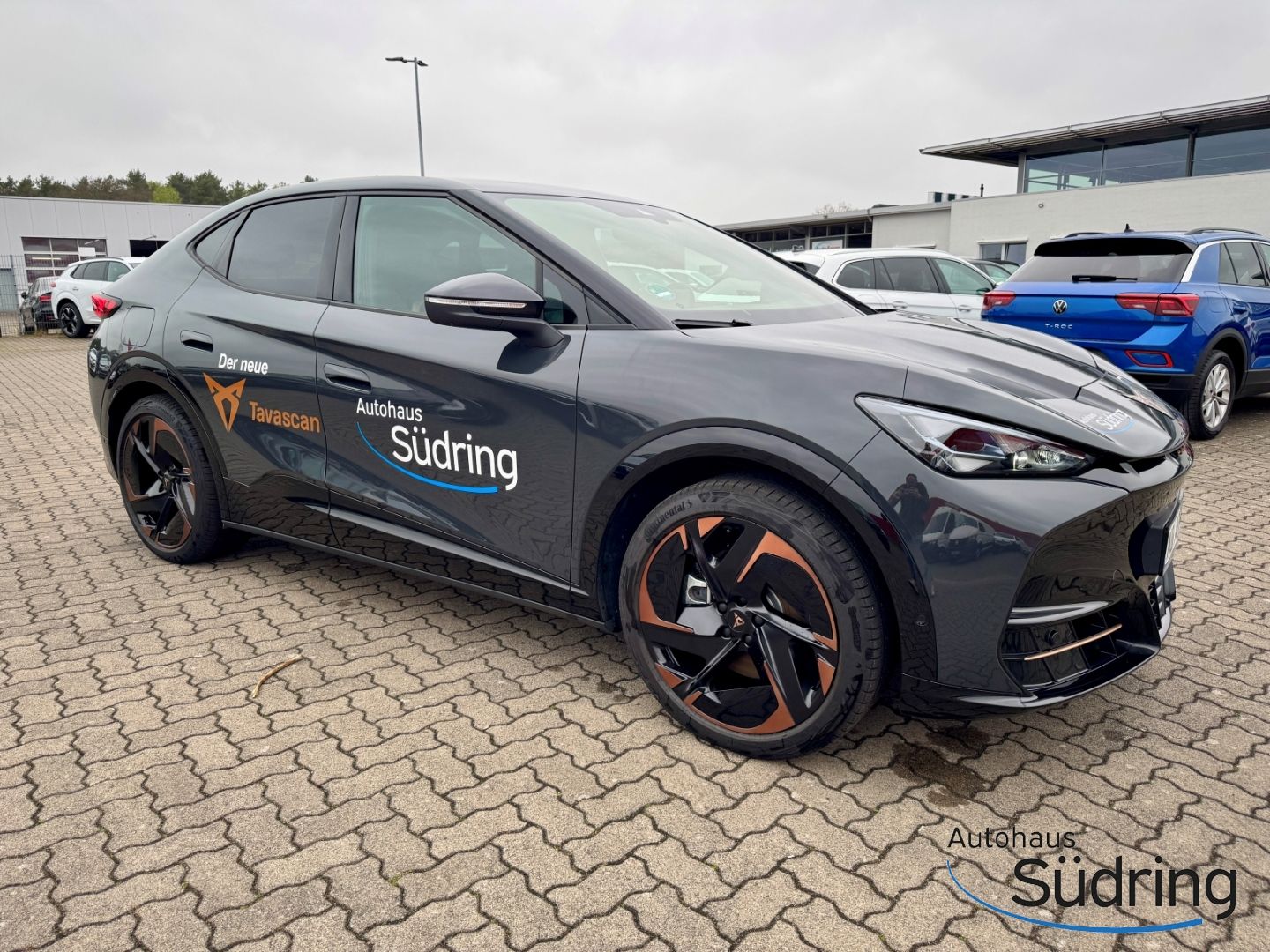 Tavascan Endurance 77kWh HUD Navi Sennheiser