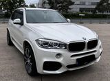 BMW X5 xDrive30d - 7Sitzer 21Zo.M-Paket TV Pano Head - BMW X5 in Nürnberg