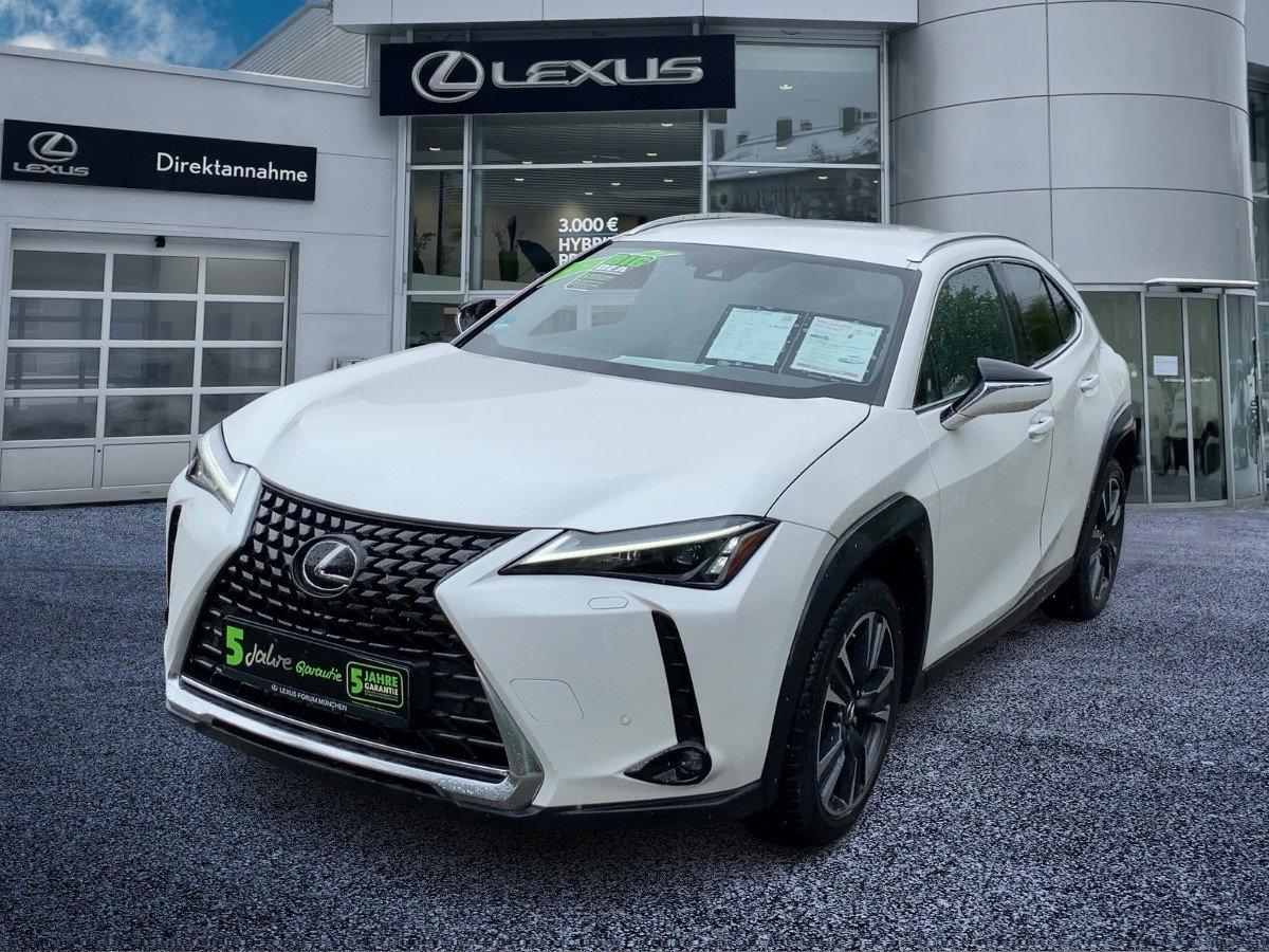 Lexus UX 250 h Style Edition guter Crossover