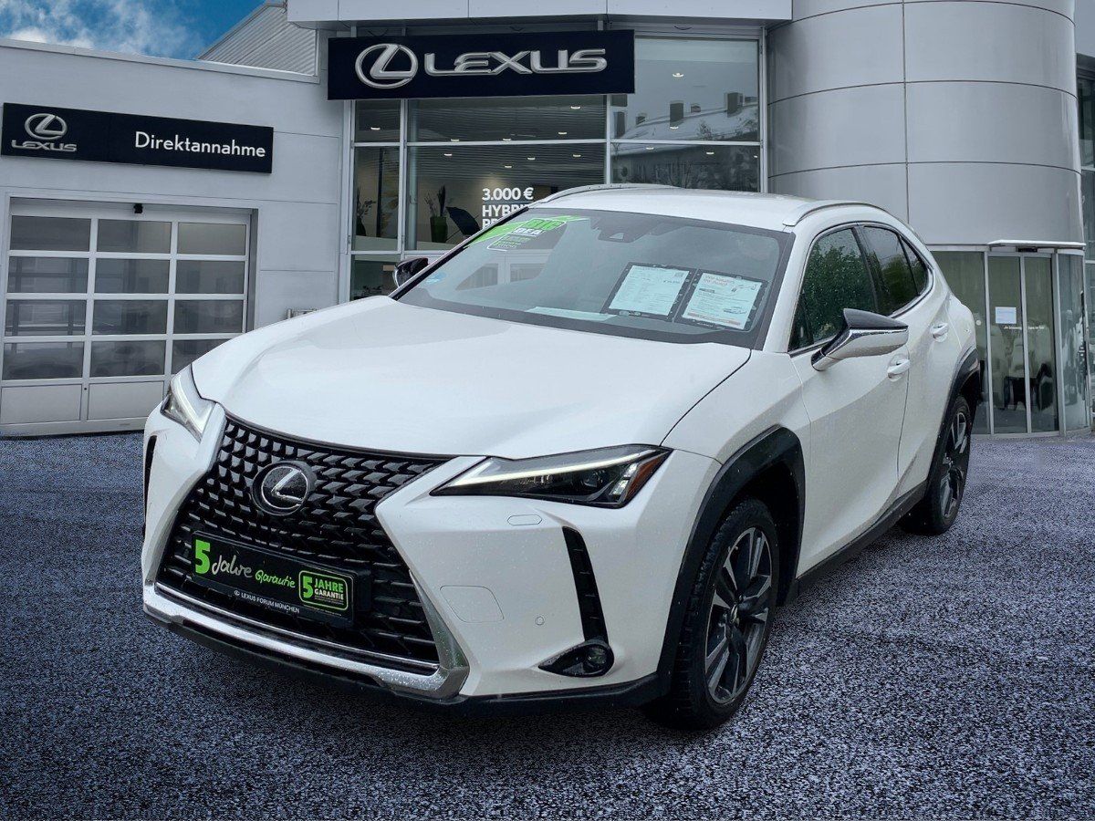 Lexus Lexus UX 250 h Style Edition guter Crossover