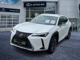 Lexus UX 250 h Style Edition guter Crossover - Lexus UX in München