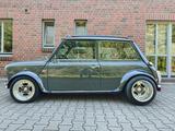MINI 1000 Seven