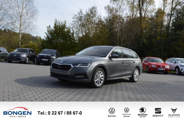 Skoda Octavia Co. 2.0 TDI Ambition 4x4 DSG Rückfahrkam