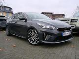 Kia ProCeed 1.5 T-GDI GT-Line ACC LED Kamera - Kia pro cee'd / ProCeed in Berlin