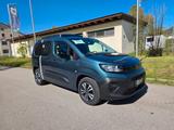 Alpincamper Combo Standhzg.,Bett, Kühlbox, Aufstelldach - Neu Kastenwagen