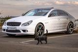 Mercedes-Benz CLS 55 AMG Petronas Folie - Mercedes-Benz: Cls55