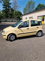 Fiat Panda. Inspektion Neu. TÜV und Au Neu!!! - Fiat Panda Gebrauchtwagen in Osnabrück