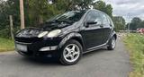 Smart ForFour (454) - Cityflitzer mit Plat... - Smart forfour 454