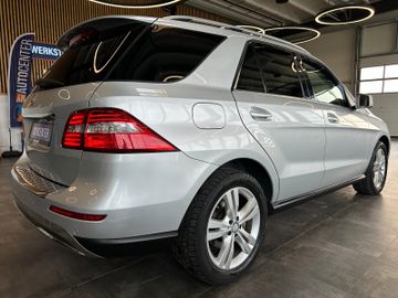 MYAUTOCENTER – Gebraucht- und Jahreswagen mit Werkstattservice in Pfaffenhofen Mercedes-Benz ML 250*PANO*Tempo*Sport*BI-Xenon*
