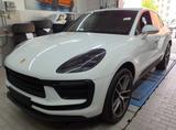 Porsche Macan 2023 Pano 20" Kamera CarPlay SpeedInfo - Porsche Macan in Dresden