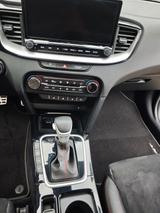 Kia pro_cee'd / ProCeed 1.6 T-GDI DCT GT GT - gebrauchte Kia pro cee'd / ProCeed aus dem Jahr 2024