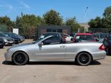 Mercedes-Benz Cabrio CLK 200 Kompressor HU/Klima/Vollleder - gebrauchte Mercedes-Benz CLK 200 aus dem Jahr 2004