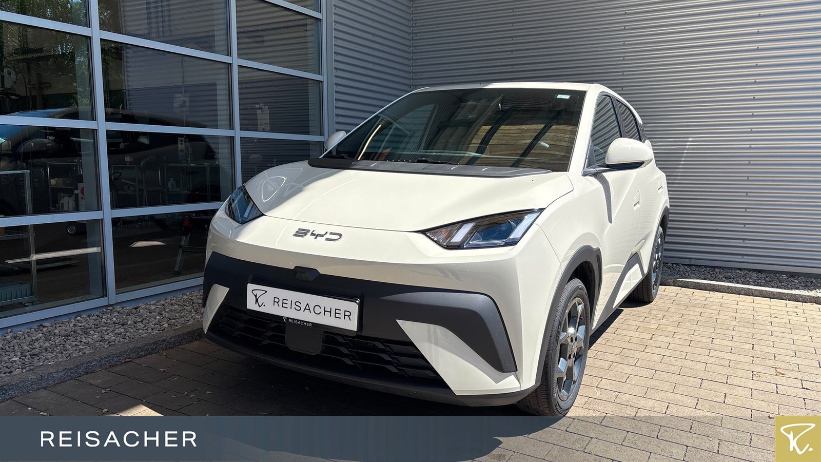 BYD DOLPHIN SURF