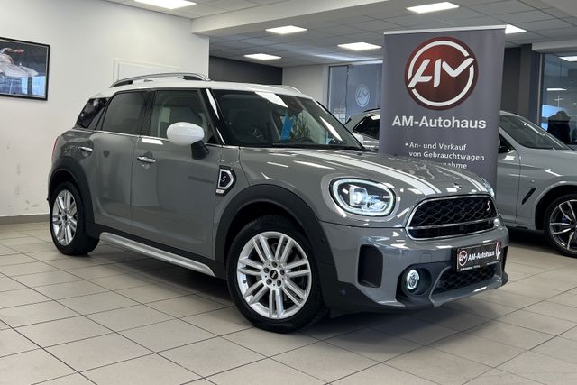 MINI Cooper S Countryman *PanoSD*HUD*Kamera*Leder*18"