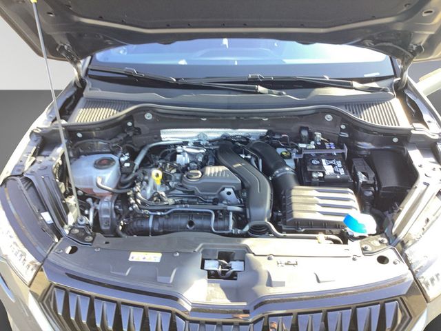 Karoq 1.5TSI DSG Sportline AHK