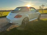 Volkswagen Beetle 1.4 TSI CUP Cabriolet CUP - VW Beetle von privat