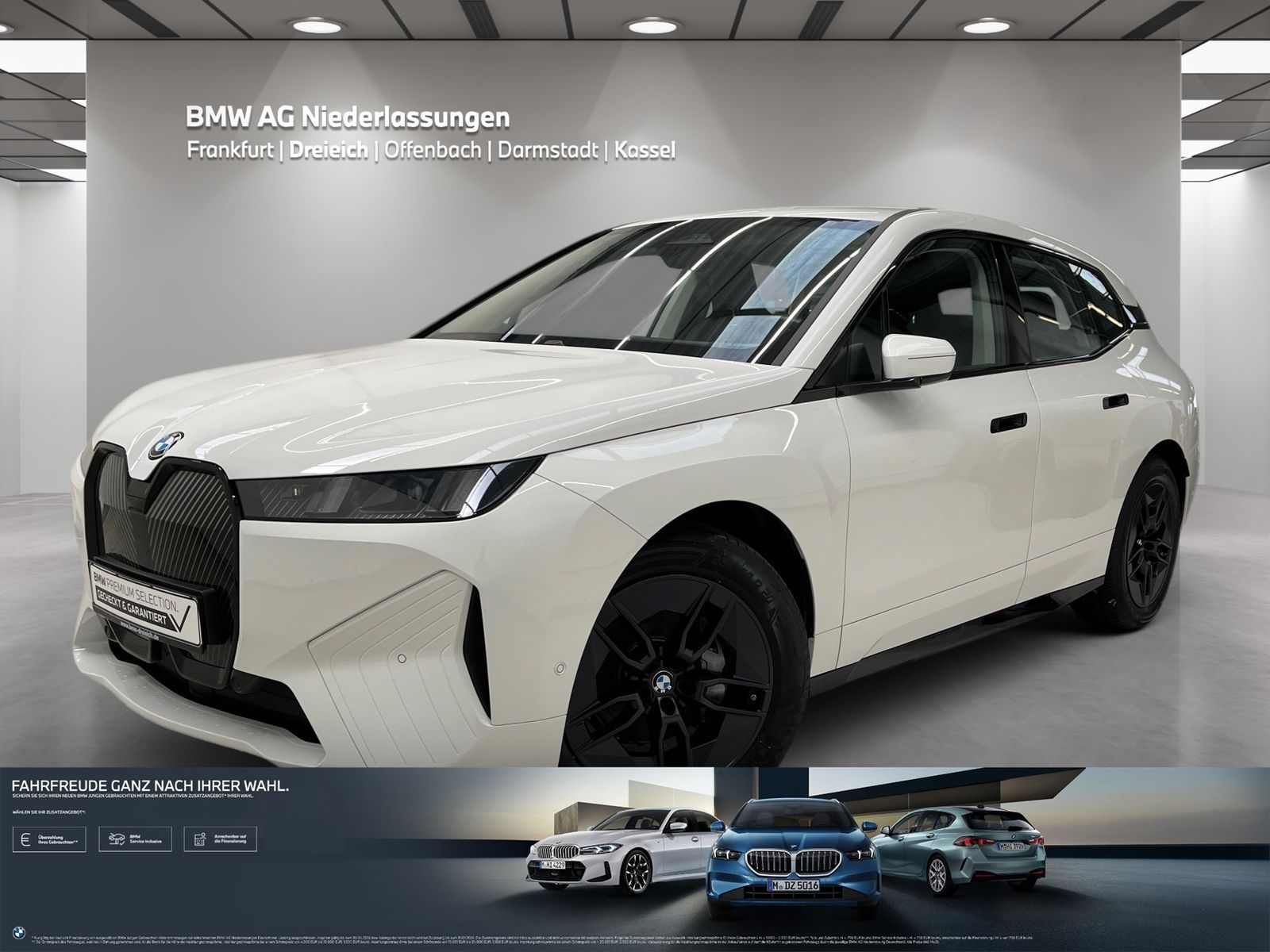 BMW iX xDrive45 Driv.Assist+ Harman/K Kamera LED