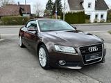 Audi A5 Cabriolet 3.0 TDI quattro*EXCLUSIVE* - Audi A5: 3.0