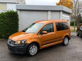 Volkswagen Caddy PKW Beach!BETT!DSG!ACC!AHK! - Volkswagen Caddy: Beach