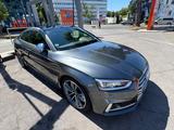 Audi S5 3.0 TFSI tiptronic quattro - - Audi S5 mit Benzin-Antrieb: Leder, Sportwagen