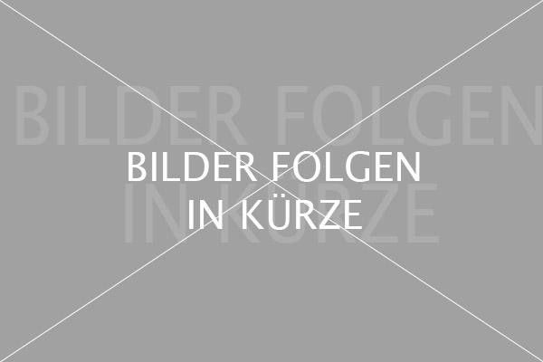 Fahrzeugabbildung CUPRA Terramar 1.5 eTSI  DSG RFK/LED/PDC/ACC/SHZ/APP