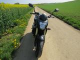 Honda Hornet  600 F  - Offers