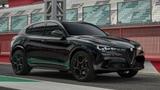 Alfa Romeo Stelvio Quadrifoglio 2.9 V6 Bi-Turbo AT8 Q4 - Alfa Romeo Gebrauchtwagen in Karlsruhe
