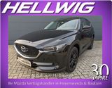 Mazda CX-5 2.2l Edition 100 AWD Teilleder Bose 360° Ka - Mazda CX-5 aus 2020