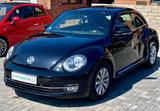 Volkswagen Beetle Design | UNFALL | Leder | Sitzh.