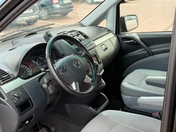Mercedes Viano - 10