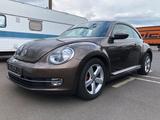 Volkswagen VW Beetle TÜV Neu - VW Beetle Gebrauchtwagen in Berlin