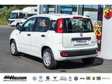 Fiat Panda MY25 Hybrid 1.0 GSE CITY-PAKET TEMPOMAT PD - Fiat Panda: 2t
