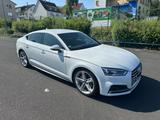 Audi A5 2.0 TDI S tronic quattro Sportback sport ... - Audi A5: Weiß, Sportback