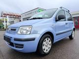 Fiat Panda 1.2 8V Dynamic - Fiat Panda aus 2010