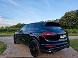 Porsche Cayenne *Platinum Edition*APPROVED*PANO*LUFT - Porsche Cayenne: Platinum Edition