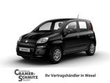 Fiat Panda Pandina Icon - Fiat Panda Neuwagen: Allradantrieb