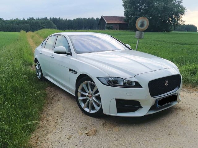 Jaguar XF 30d 300PS R-Sport Automatik R-Sport