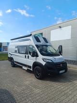 La Strada Avanti C - Angebote
