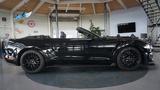 Ford Mustang GT 500 Cabrio ShelbyLook Digi-Tacho* - Ford: Cabrio, Shelby