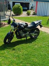 Honda CB 600 F Hornet PC36 - HONDA 2006 HORNET 600