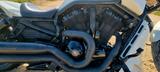 Harley-Davidson VRSCDX  V-ROD Special 1HD1 - Offers matching your search criteria