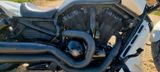 Harley-Davidson VRSCDX  V-ROD Special 1HD1 - HARLEY-DAVIDSON V ROD SPECIAL
