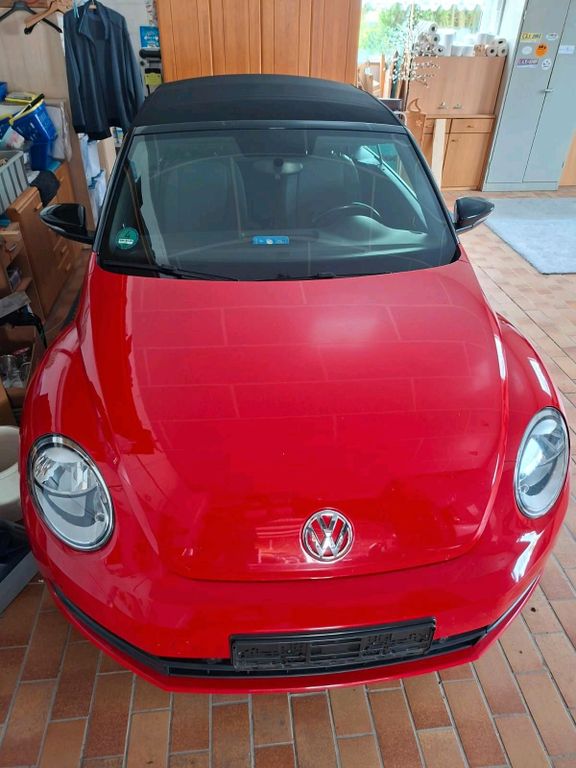 Image of Volkswagen Beetle