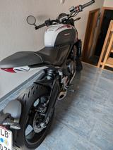 Triumph Trident 660 trible tribute Slippery Sam - TRIUMPH TRIDENT