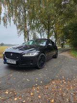 Jaguar XF 30D S 300PS Automatik S - Jaguar: X300