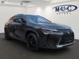 Lexus UX 250 h - Lexus UX Gebrauchtwagen